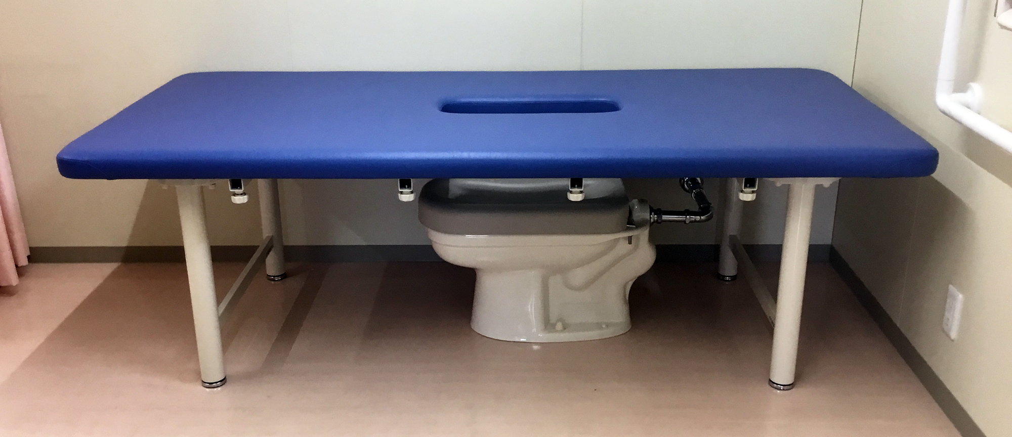 介助型高さ固定式トイレベッドあおい