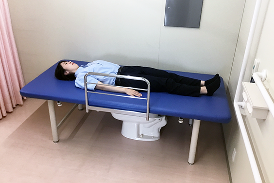 介助型高さ固定式トイレベッド