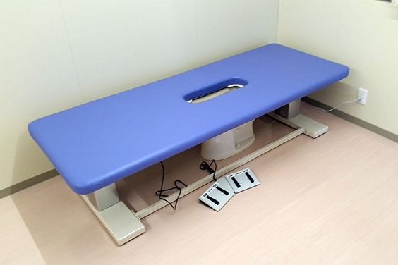 介助型電動昇降式トイレベッド